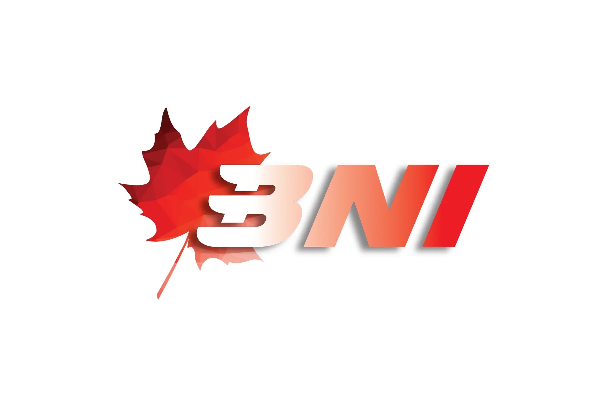 BNI Supplements/Advantage