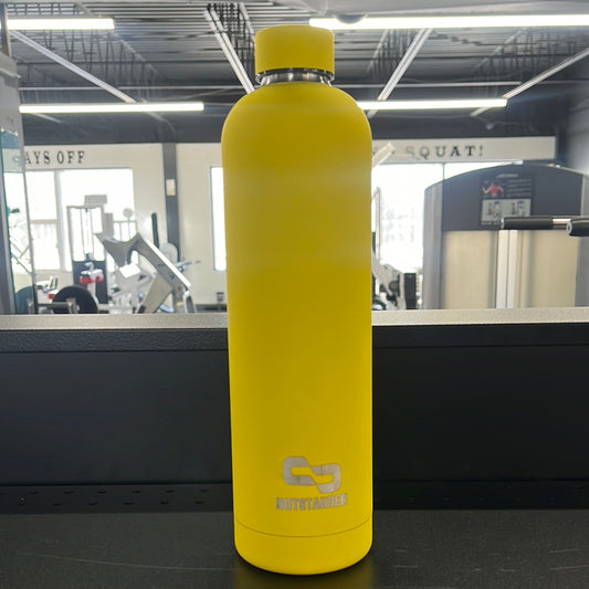 Bouteille metallique